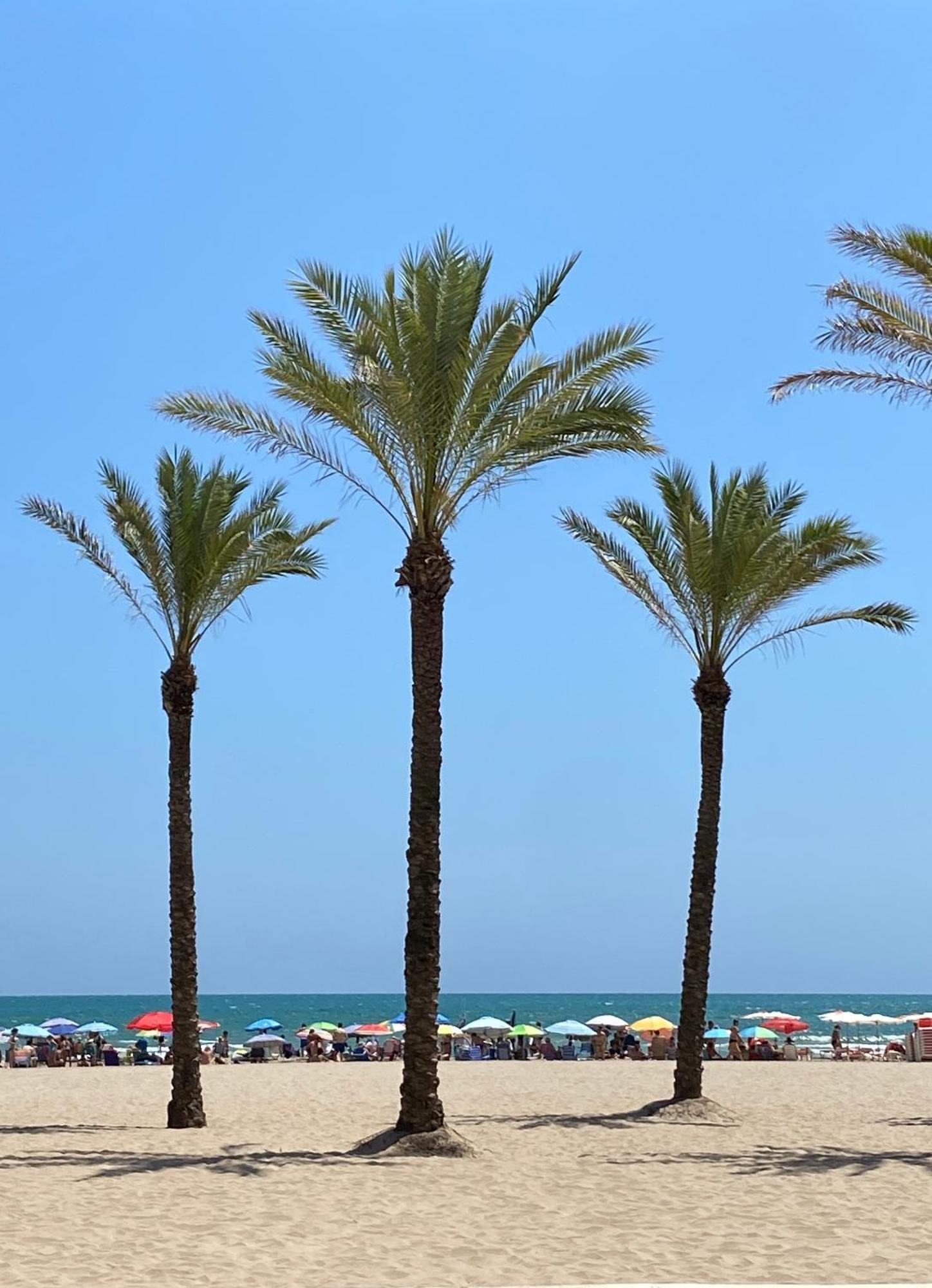 New Stylish Beach Front Apartment Cullera Exterior photo
